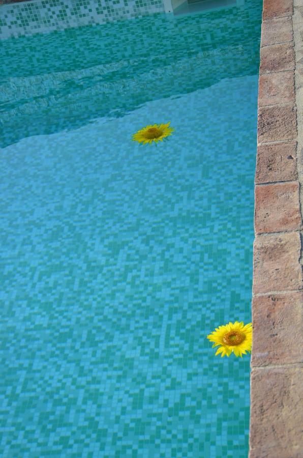 Agriturismo Il Feudo Pension Grosseto Buitenkant foto